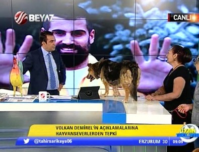 Volkan Demirel'e canlı yayında köpekli protesto