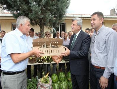 Büyükşehir’den Çiftçiye Bin Adet Hindi ve Çilek Fidesi