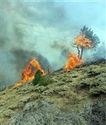 KARACAHISAR - Sivas’ta Piknikçiler Orman Yangınına Neden Oldu