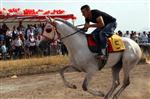 Ağrı’da '2014 Yılı At Yarışları” Yapıldı