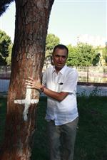 Hastane Bahçesinde Ağaç İçin Eylemi Çağrısı