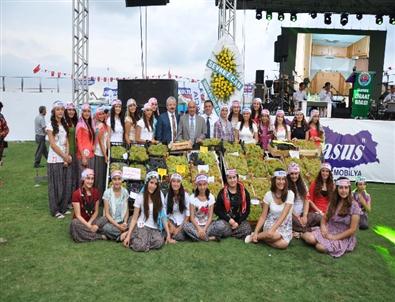 Tarsus 33. Üzüm ve Kültür Festivali