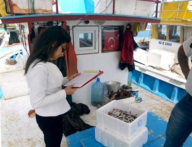 Ordu’da Balıkçılara 26 Bin Lira Ceza
