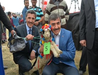 Çambaşı'nda Şenlik Coşkusu