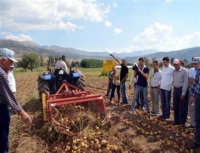 Muğla Patates’te Ödemiş’e Rakip