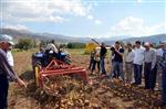 ALİ BOĞA - Muğla Patates’te Ödemiş’e Rakip