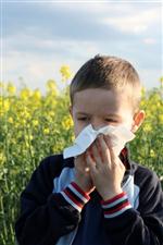 BURUN TIKANIKLIĞI - Okula Başlayan Alerjik Çocuklara Dikkat