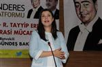 ÇİMENTO FABRİKASI - Ak Parti Milletvekili Pelin Gündeş Bakır Açıklaması