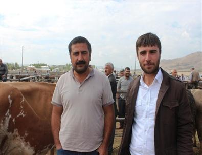 Hayvan Pazarında Kurban Bayramı Hareketliliği