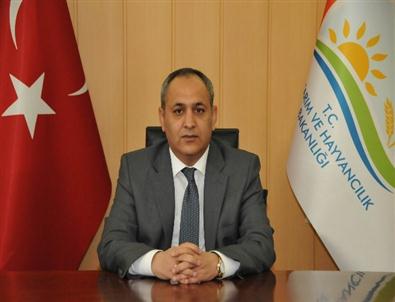 Çıralı'da 'Eko Tatil' Projesi