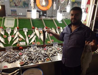 Deniz Balıkları Tezgahlarda