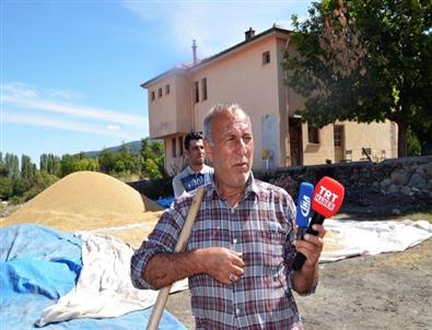 Pirinç Üreticilerinin Su Endişesi