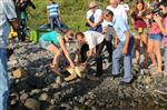 DENİZ KAPLUMBAĞALARI - Caretta 'Tugay ' Mavi Sularla Buluşturuldu