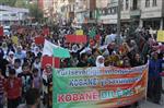 BDP - Hakkari, Kobani İçin Tek Yürek Oldu