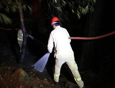 Marmaris'te Orman Yangını Büyümeden Söndürüldü