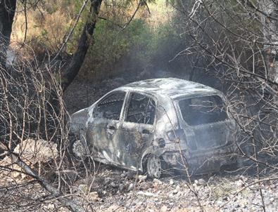 Trafik Kazası Orman Yangınını Başlattı