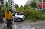 ELEKTRİK DİREĞİ - Adana'da Şiddetli Yağış ve Fırtına