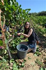 HALIL DEMIR - Elmalı’nın Tanıtımına Myo’dan Destek