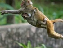 BBC - Çaldığı paraları halka dağıttı