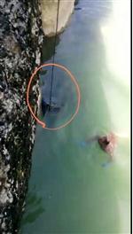 VATAN CADDESİ - Kasa Hırsızları Yakalandı