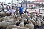 KURBANLIK HAYVAN - Ödemiş Hayvan Pazarı’nda 'Kurban” Hareketliliği Başladı