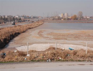 Şahin Açıklaması