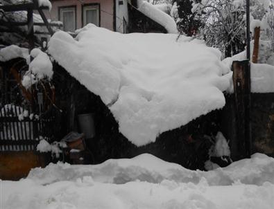 Dursunbey'de Kar Çatı ve Ağaçları Yıkıyor