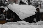 ÇAM AĞACI - Dursunbey'de Kar Çatı ve Ağaçları Yıkıyor