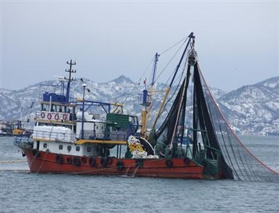 Fatsalı Balıkçılar Kıyıda Avlandı