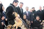 DEDEKTÖR KÖPEK - Dedektör Köpekler Gümrük Kapılarına Hazır
