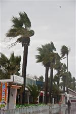 KUZEY EGE - Lodos Edremit Körfezinde Hayatı Olumsuz Etkiliyor