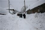 ÇÖKME TEHLİKESİ - (özel Haber) Bursa’da Mahsur Kalan Köylülerin 10 Günlük Kar Çilesi