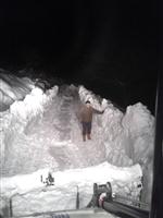 Mahsur Kalan Hayvanları Buski Kurtardı