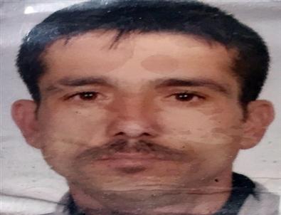 Bonzai Bir Can Daha Aldı