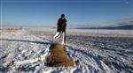 KAR ÖRTÜSÜ - Karaman’da Yaban Hayvanlar İçin Doğaya Yem Bırakıldı