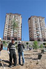 Nevşehir’de,  48 Bin 726 Metrekarelik Alan Daha Yeşil Alan Haline Getirildi