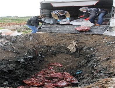 (özel Haber) Adana'da 1 Ton Kaçak Bozuk Et İmha Edildi