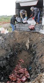 SOFULU - (özel Haber) Adana'da 1 Ton Kaçak Bozuk Et İmha Edildi