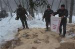 Doğaya 8 Ton Yem Bırakıldı