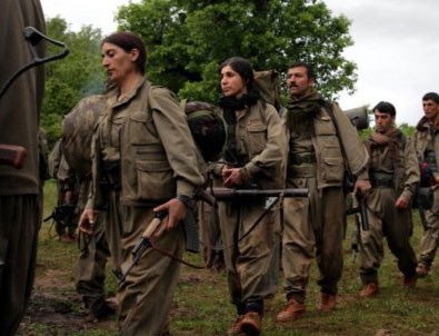 AK Partili Özdağ: PKK tasfiye edilecek