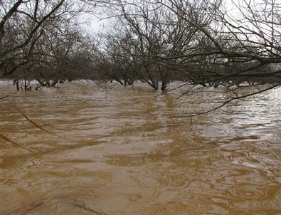 Menderes Taştı, Aydın Ovası Göle Döndü