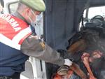 AT ETİ - At Hırsızları Hem Atçıları Hem De Vatandaşları Korkutuyor