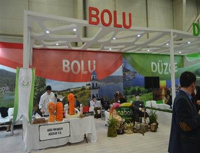 Bolulu Aşçılar, Kabaktan Heykel Yaptı