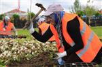 FATİH DURUAY - Park ve Bahçeler Müdürlüğü Çalışıyor Gölbaşı Güzelleşiyor