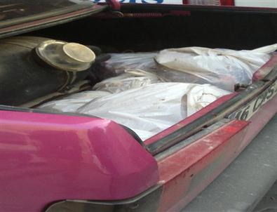 Bursa’da İkinci At Eti Operasyonu