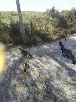 KIRAZLı - Kuşadası'nda Toprak Kayması Vatandaşı Elektriksiz Bıraktı