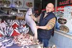 BALIK FİYATLARI - Samsun’da Balık Fiyatları