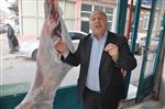 ALIM GÜCÜ - Türkiye Kırmızı Et Üreticileri Birliği Genel Başkan Yardımcısı Şaban Cetizli Açıklaması