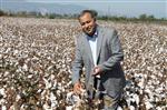 KDV - Kocabaş; 'Yüsek Maliyet Çiftçiyi Pamuktan Uzaklaştırıyor'