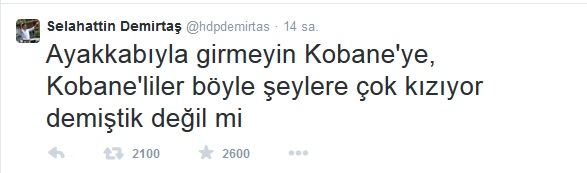 Hasan Karakaya: Bu tweet salakça ve ahmakça